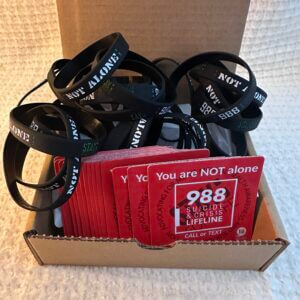 Stay; For Life Resource Kit #3