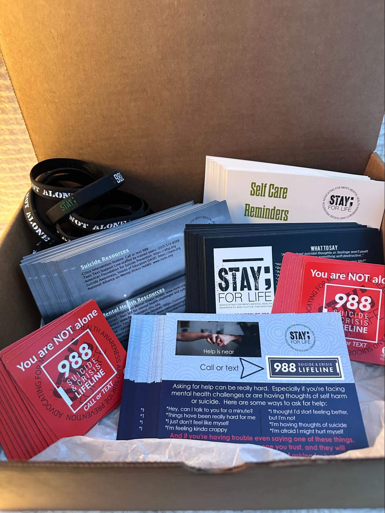 School Resource Kits for Students from Stay; For LIfe