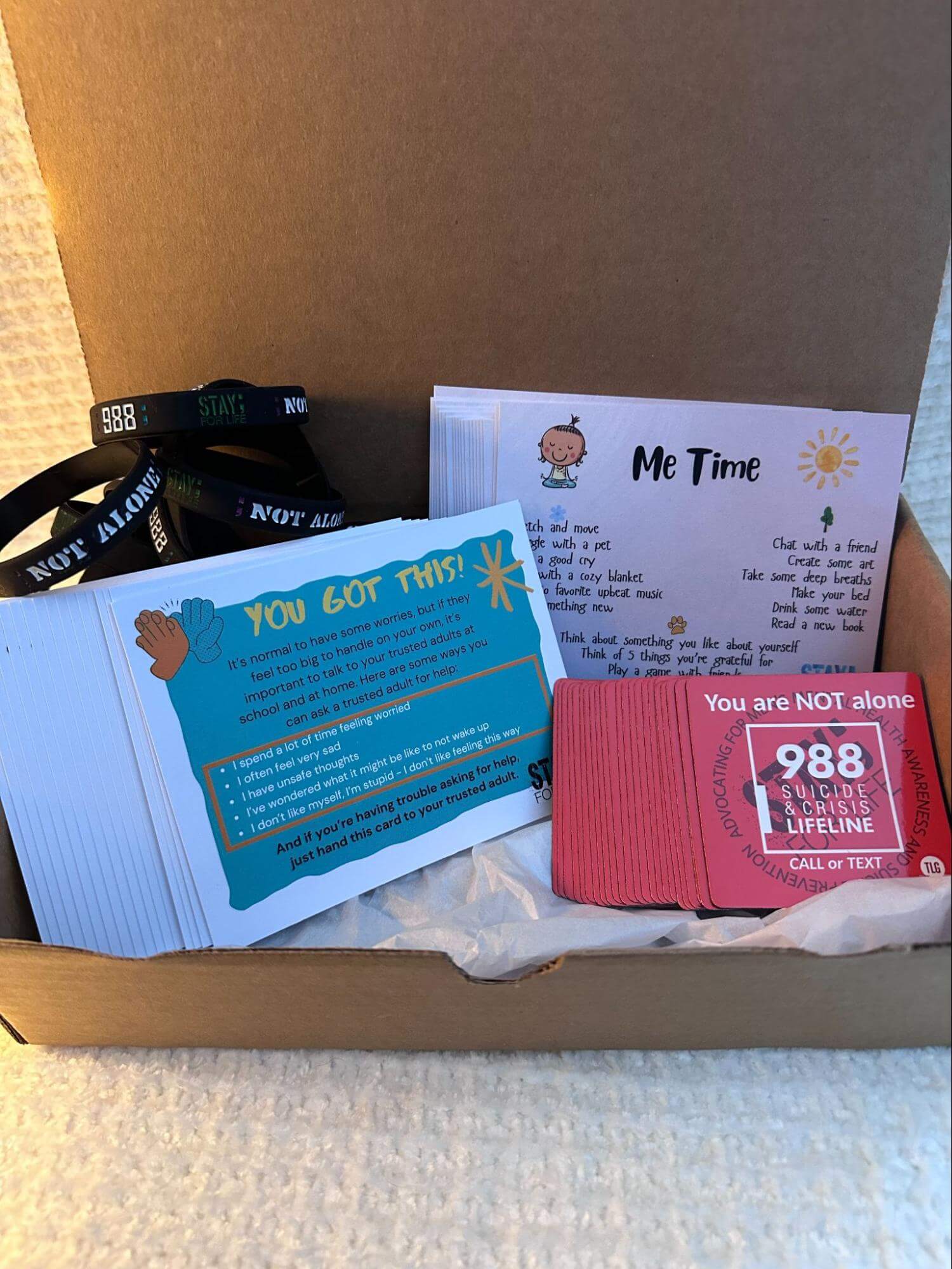 School Resource Kits for Students from Stay; For LIfe